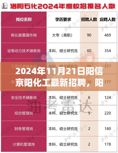 陽信京陽化工最新招聘現象深度解讀，探析價值與影響，2024年招聘展望