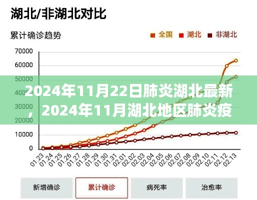 2024年11月湖北地區(qū)肺炎疫情最新進(jìn)展概述