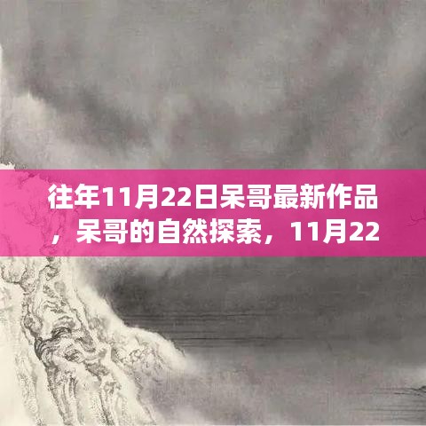 呆哥的自然探索，寧靜之旅的啟示（11月22日最新作品）