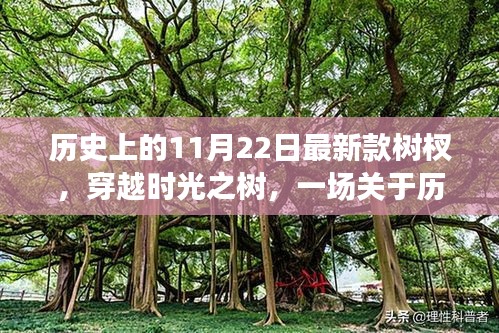 穿越時(shí)光之樹，探尋歷史神奇樹杈的尋靜之旅