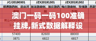 澳門一碼一碼100準確掛牌,新式數(shù)據(jù)解釋設想_定制版PJM2.30