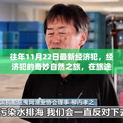 經(jīng)濟(jì)犯的自然之旅，尋找內(nèi)心的平和與寧靜之路