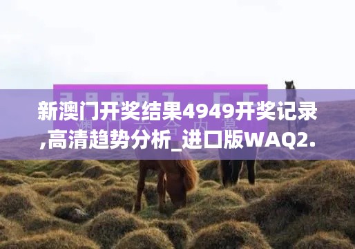新澳門開獎結(jié)果4949開獎記錄,高清趨勢分析_進口版WAQ2.31
