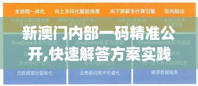 新澳門內(nèi)部一碼精準(zhǔn)公開,快速解答方案實(shí)踐_定制版PYN2.95
