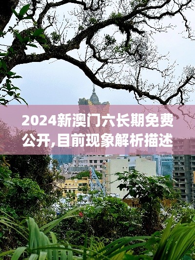 2024新澳門六長期免費(fèi)公開,目前現(xiàn)象解析描述_增強(qiáng)版BHE2.78