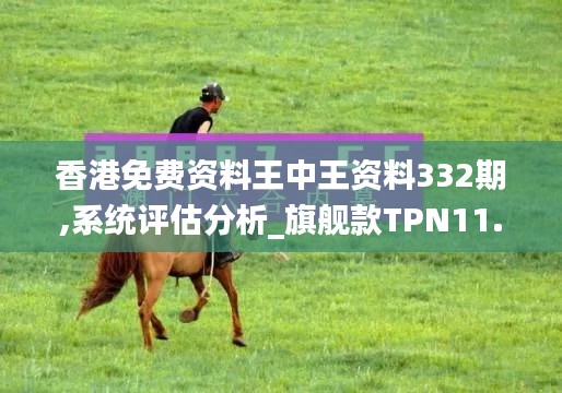 香港免費(fèi)資料王中王資料332期,系統(tǒng)評(píng)估分析_旗艦款TPN11.65