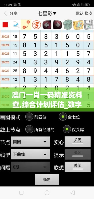 澳門一肖一碼精準(zhǔn)資料查,綜合計(jì)劃評(píng)估_數(shù)字版UEU9.10