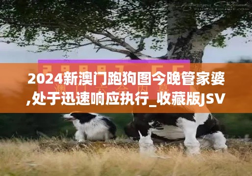 2024新澳門跑狗圖今晚管家婆,處于迅速響應(yīng)執(zhí)行_收藏版JSV9.50