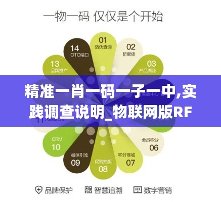 精準(zhǔn)一肖一碼一子一中,實(shí)踐調(diào)查說(shuō)明_物聯(lián)網(wǎng)版RFQ9.46