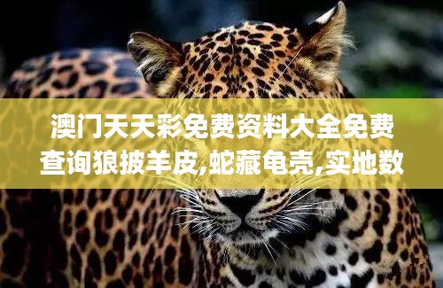 澳門天天彩免費資料大全免費查詢狼披羊皮,蛇藏龜殼,實地數(shù)據(jù)驗證_多功能版WEN9.78