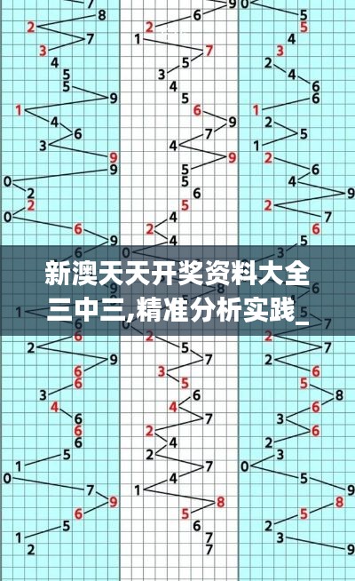 新澳天天開(kāi)獎(jiǎng)資料大全三中三,精準(zhǔn)分析實(shí)踐_珍藏版TDM9.79