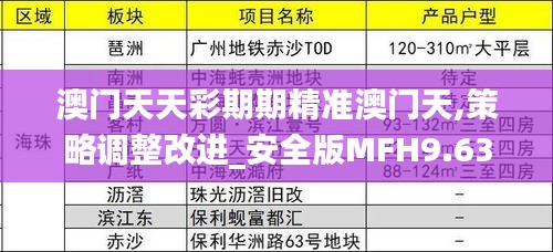 澳門天天彩期期精準(zhǔn)澳門天,策略調(diào)整改進_安全版MFH9.63