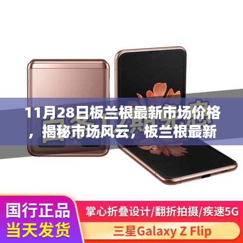 揭秘板蘭根最新市場價(jià)格動(dòng)態(tài)解析（最新報(bào)告，11月28日版）