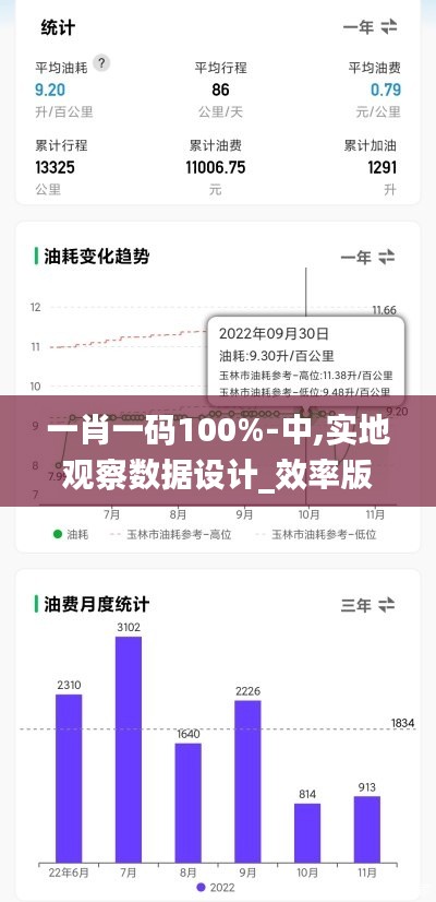 一肖一碼100%-中,實地觀察數(shù)據(jù)設(shè)計_效率版MJY45.875