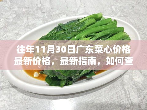 往年11月30日廣東菜心價格詳解，最新指南與查詢方法，適合初學(xué)者與進(jìn)階用戶參考