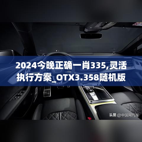 2024今晚正確一肖335,靈活執(zhí)行方案_OTX3.358隨機版