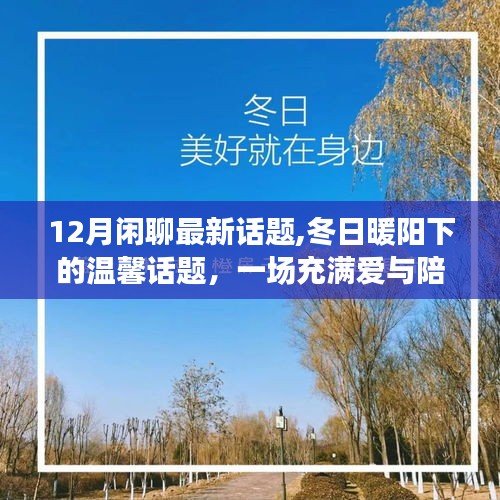 冬日暖陽(yáng)下的溫馨閑聊，十二月愛與陪伴的交織