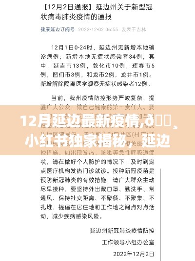 小紅書獨家揭秘，延邊地區12月最新疫情動態與防控進展
