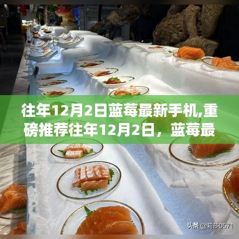 『藍(lán)莓最新手機(jī)引領(lǐng)科技潮流，性能與顏值的雙重盛宴，重磅推薦』