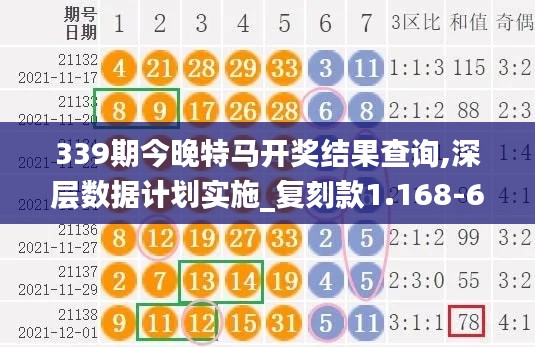 339期今晚特馬開獎結(jié)果查詢,深層數(shù)據(jù)計劃實施_復(fù)刻款1.168-6