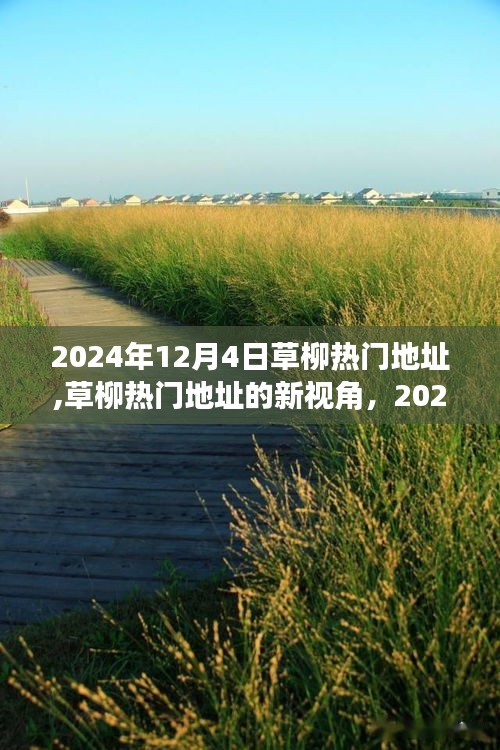 草柳熱門地址，獨特魅力與爭議下的新視角——2024年12月4日