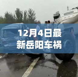 深度解析，岳陽車禍事故原因及各方觀點