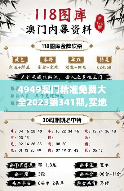4949澳門精準免費大全2023第341期,實地執行考察方案_安卓款8.997