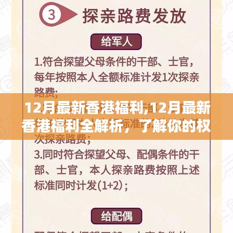 香港十二月福利全解析，保障權(quán)益，暢享生活