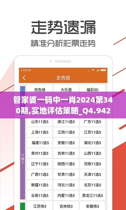 管家婆一碼中一肖2024第340期,實(shí)地評(píng)估策略_Q4.942