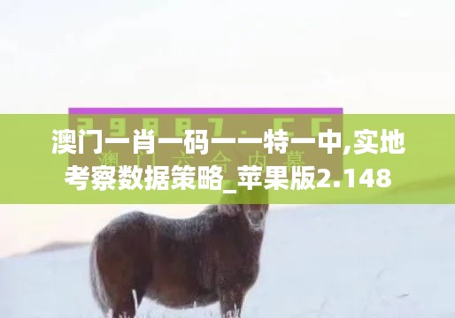 澳門一肖一碼一一特一中,實(shí)地考察數(shù)據(jù)策略_蘋果版2.148