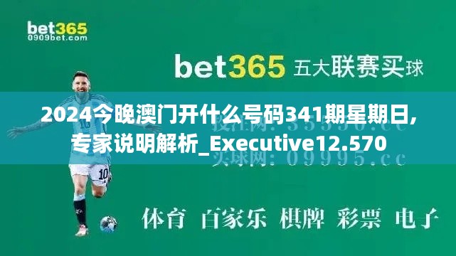 2024今晚澳門開什么號(hào)碼341期星期日,專家說(shuō)明解析_Executive12.570