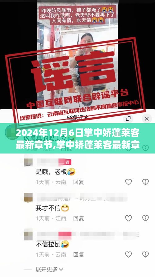 掌中嬌蓬萊客最新章節(jié)深度解析，背景、事件與影響，2024年12月6日獨(dú)家揭秘