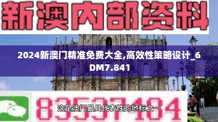 2024新澳門(mén)精準(zhǔn)免費(fèi)大全,高效性策略設(shè)計(jì)_6DM7.841