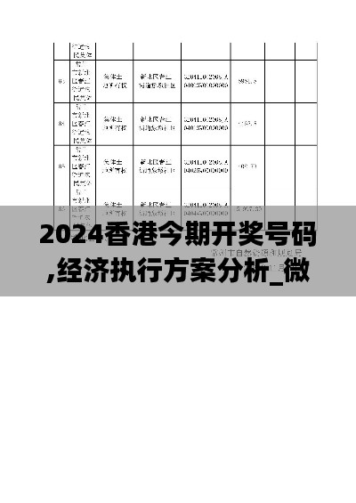 經濟執行方案分析