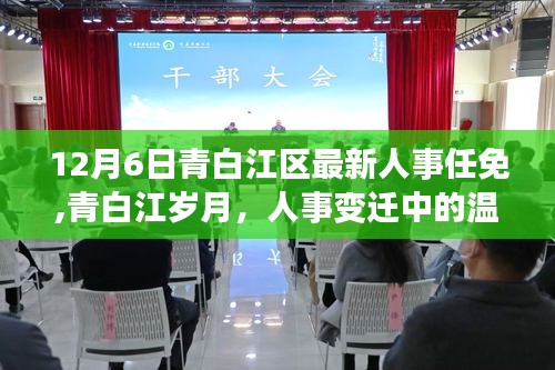 青白江區人事任免揭曉，溫情故事中的歲月變遷