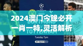 2024澳門(mén)今晚必開(kāi)一肖一特,靈活解析方案_創(chuàng)意版11.553