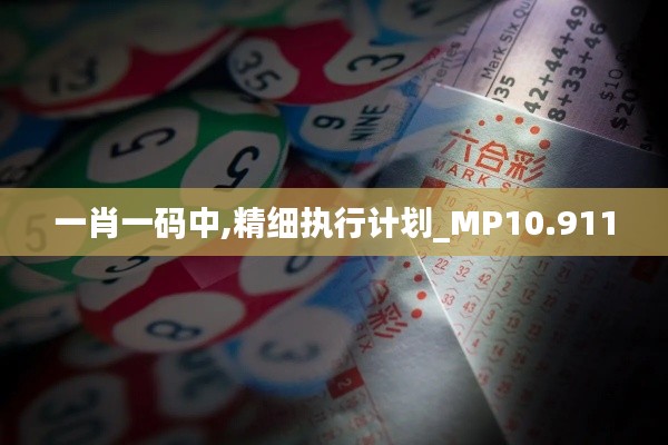 精細執行計劃