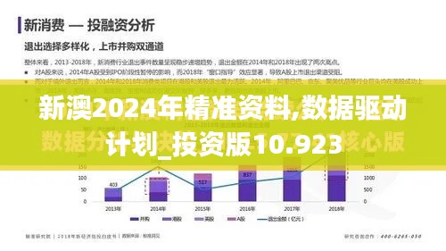 新澳2024年精準資料,數據驅動計劃_投資版10.923