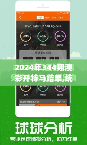 2024年344期澳彩開特馬結(jié)果,統(tǒng)計分析解釋定義_挑戰(zhàn)款13.692