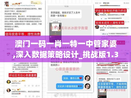 澳門一碼一肖一特一中管家婆,深入數(shù)據(jù)策略設(shè)計(jì)_挑戰(zhàn)版1.321