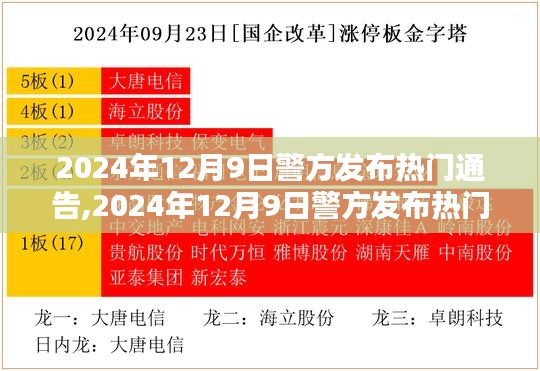 社會治安新形勢下的多元治理策略探析，警方發布熱門通告解析與行動指南（2024年12月9日）