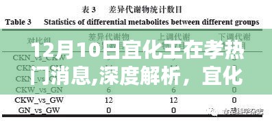 宜化王在孝產(chǎn)品深度解析與評(píng)測(cè)，產(chǎn)品特性、用戶體驗(yàn)與目標(biāo)用戶群體分析——最新熱門消息速遞