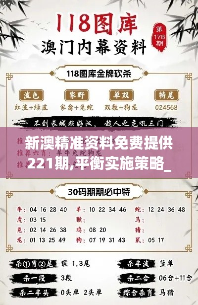 新澳精準(zhǔn)資料免費(fèi)提供221期,平衡實(shí)施策略_T9.568
