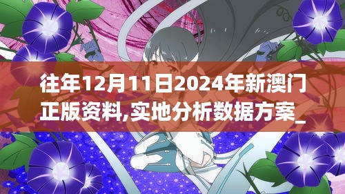 往年12月11日2024年新澳門(mén)正版資料,實(shí)地分析數(shù)據(jù)方案_桌面版3.712