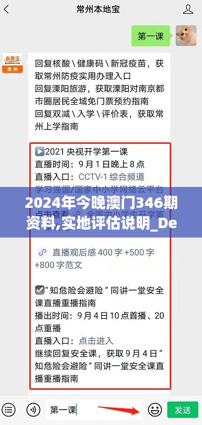 2024年今晚澳門346期資料,實(shí)地評(píng)估說明_Deluxe5.265