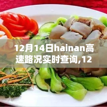 12月14日海南高速實時路況查詢，實時信息的重要性及其影響力解析