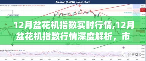12月盆花機(jī)指數(shù)深度解析，實(shí)時(shí)行情、市場(chǎng)脈絡(luò)與未來(lái)展望