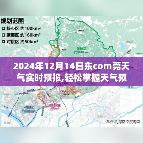 2024年12月14日東莞天氣預(yù)報(bào)，如何獲取并解讀實(shí)時(shí)天氣信息