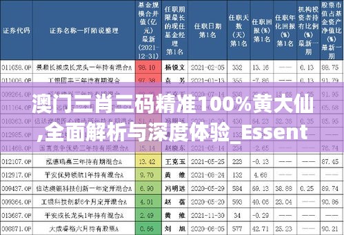 澳門三肖三碼精準(zhǔn)100%黃大仙,全面解析與深度體驗_Essential7.969