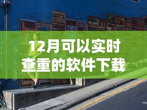 探秘小巷深處的查重寶藏，實時查重軟件下載指南（12月版）